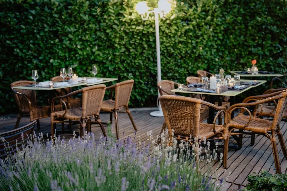 Terrasse plantee de lavandes, table de jardin sous une haie taillee.